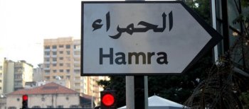 08137133113396832648312512243017