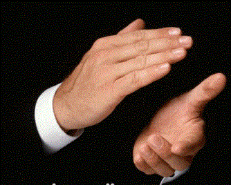 1335038605571-336x444-custom