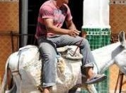 283410zarhouneune-940436368283410