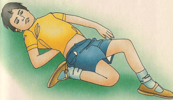 _الأوّليّة_-_الهيكل_العظميّ1