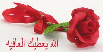 hwaml_com_1395365914_156