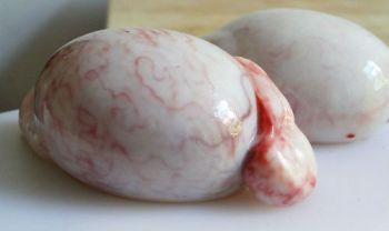 Sheep_Testicle