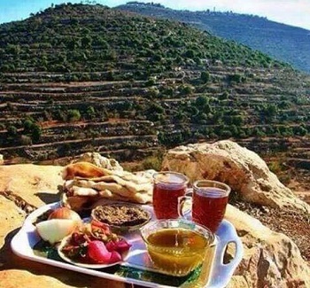 14102422_286951915005152_3357451543847328430_n