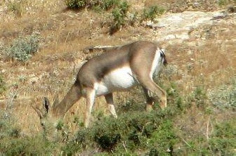 10922616_1591006137784630_784901323147242154_n