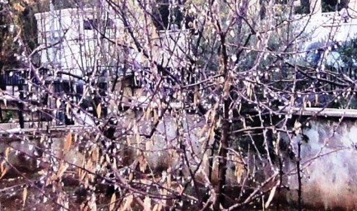 149391_3916269510267_1668108048_n