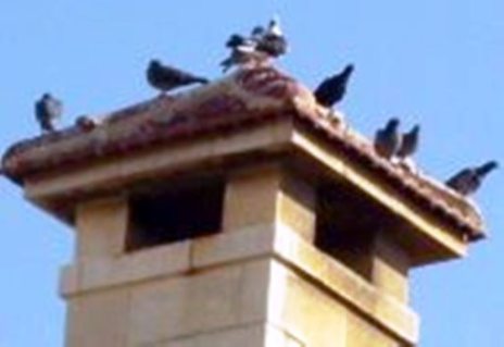 154563_3848207888769_1733510639_a