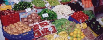 2013-635162615735559795-555