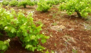 3273b60819658bda1bb5169b2012810c