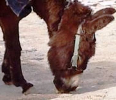 535563_3750154997508_81696800_a