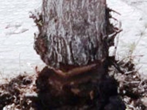 564776_3825133591926_1975913519_a