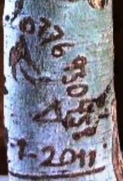 75219_3840235729470_1523758133_a1