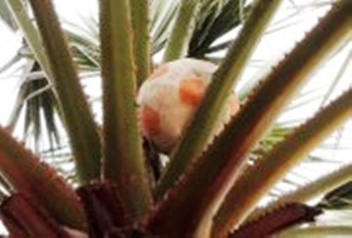 292532_4037668945177_1118248656_a