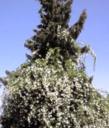 427905_3887507031223_507097368_a