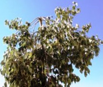 487322_4049463000021_1483515055_a2