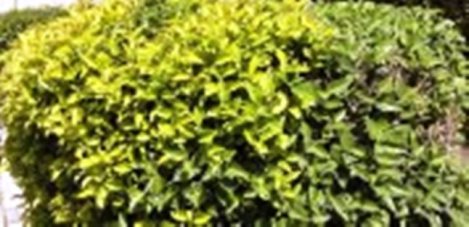 524429_3969960052497_937056884_a