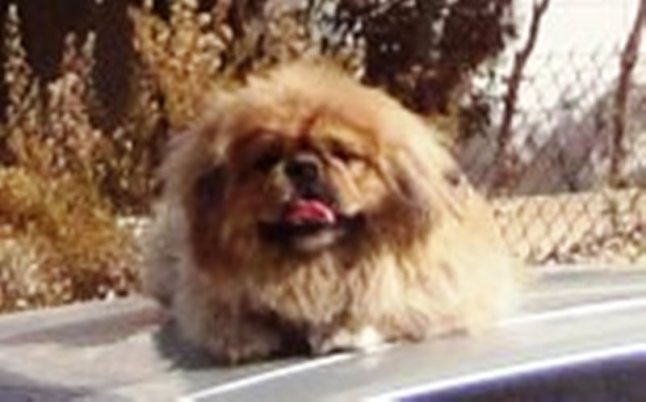 526732_4065970092688_445907577_a