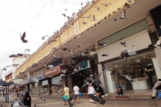 ???????????????????????????????