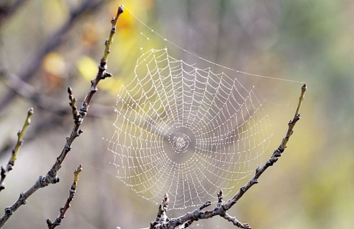 f9e4632e61a0763063431925b2414b7d