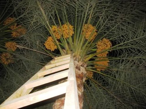 ???????????????????????????????