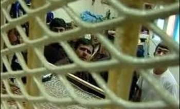 241b8e3d89f531d10e270f65