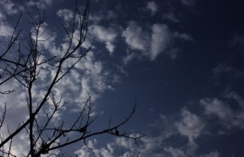 452872877_604f44bb43