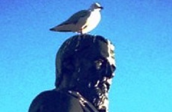 d8add985d8a7d985d8a9