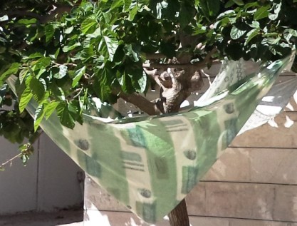 ???????????????????????????????