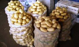 SACO DE BATATAS