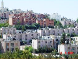 ذهبنا معه لنزور أحد أصدقاء العائلة في مدينة أبو نصير. فأقنعه صديقه بعدم سفره معنا إلى سلفيت!. untitled