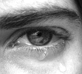 kashkool-org-up-0800cf1b1d