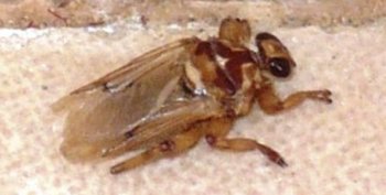 mk78379_666-008_640x480