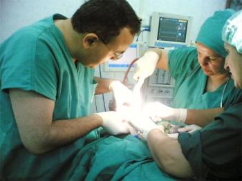 34adc34aef6e1f68aa2d178ea5ddd304