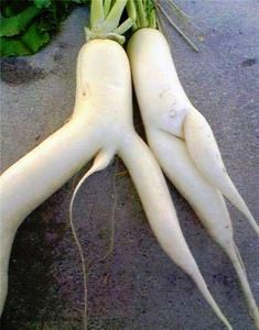 7d7dd78d1c30529c3b415676f1a0ff661