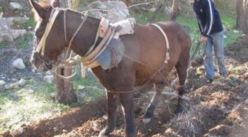 10338332_1492695100949068_923191543070327640_n