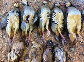 mk121354_jhhkkkkkkkkkkkkk