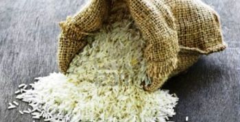 rice_1