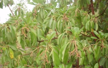 10325759_283654698476000_4895133421218841623_n