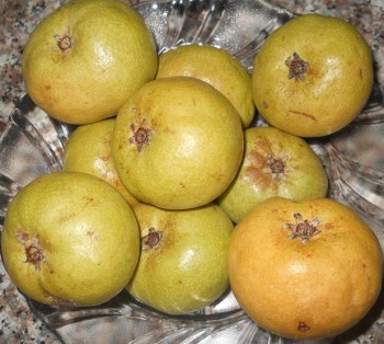 10635944_349881185186684_3168694111178335341_n