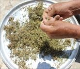 3f8d3525-d31a-4b4d-8b80-7def7a5301d4