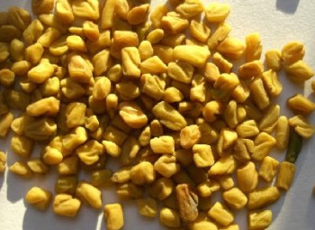 1-22-2015-10-40-15-AM