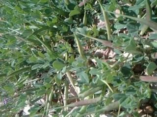 10171261_1489077981310780_5390538941866512598_n