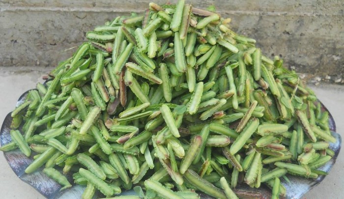 11168124_508561649296403_2799456773675266327_n