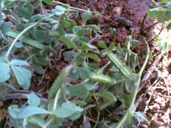 556079_10150942487168349_654192218_n