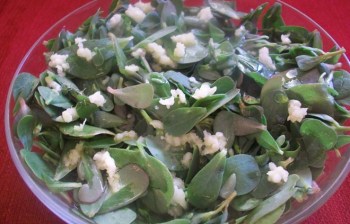 hwaml_com_1320240229_552