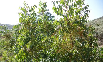 ???????????????????????????????