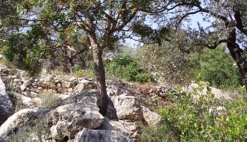 ???????????????????????????????