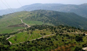 218619689_03c0deb586_b