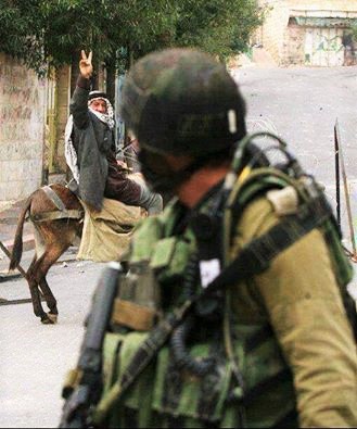 983723_699426693484233_7595451170146249044_n