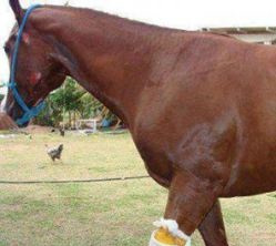 10153846_311753685640430_1080815098_n1