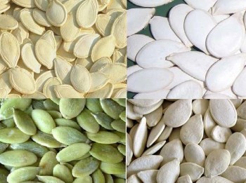 12295356_10153865582838953_8863313351096469514_n